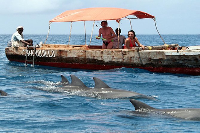 Zanzibar dolphin boat tour